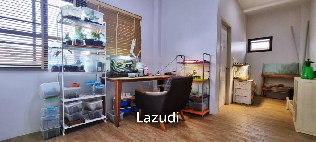 Single Two Storey House for Sale