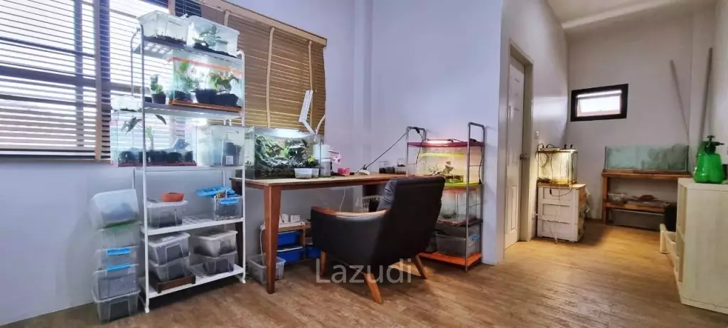 Single Two Storey House for Sale