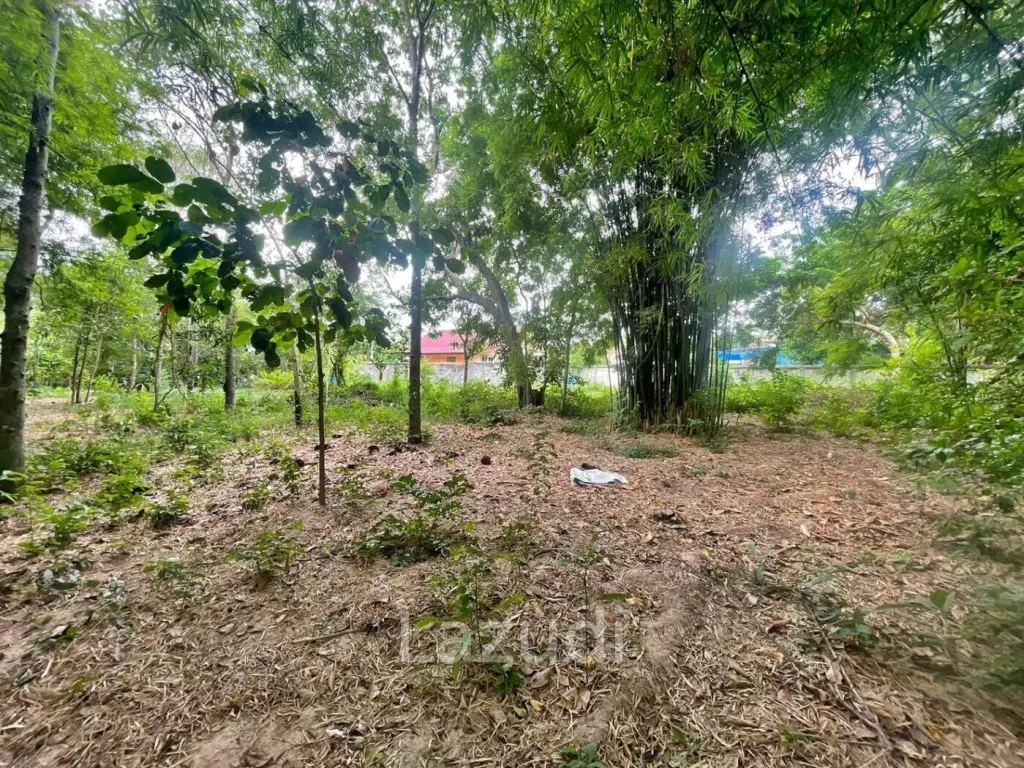 Nice Land plot At Huay Yai for Sale