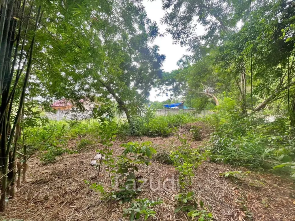Nice Land plot At Huay Yai for Sale