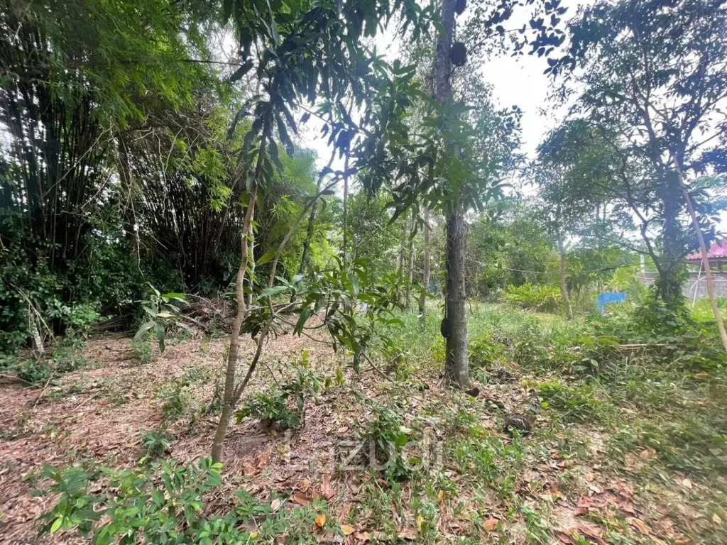 Nice Land plot At Huay Yai for Sale