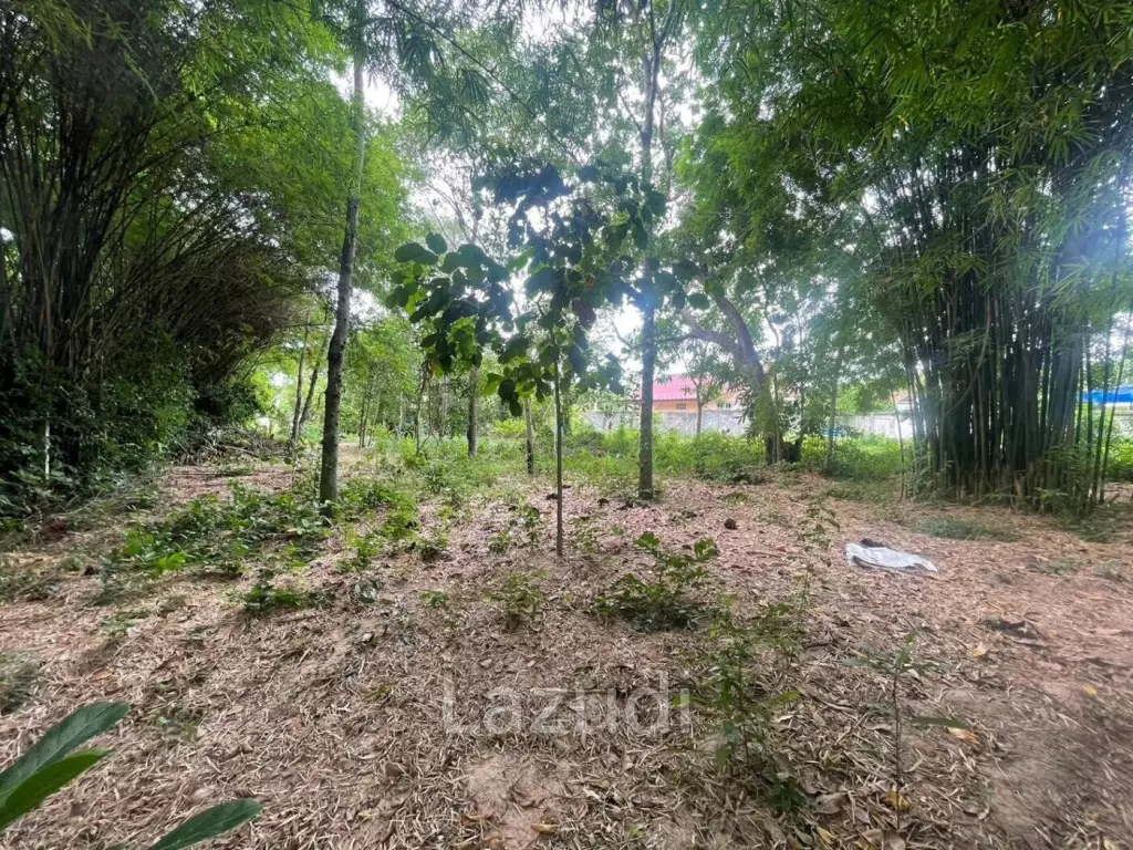 Nice Land plot At Huay Yai for Sale
