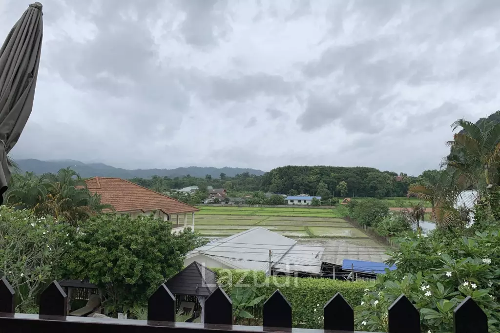 Cozy Resort with Swimming pool in Chiang Rai