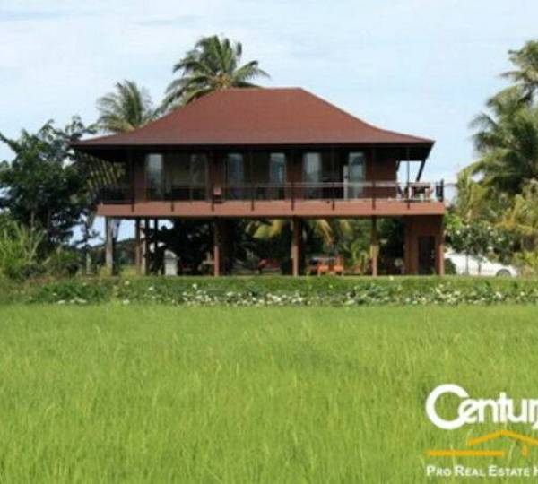 Luxury Thai Style Villa on Big Land Luxury Thai Style Villa on Big Land