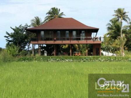 Luxury Thai Style Villa on Big Land