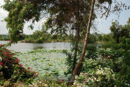 3 Bedroom Pool Villa, overlooking a huge lake