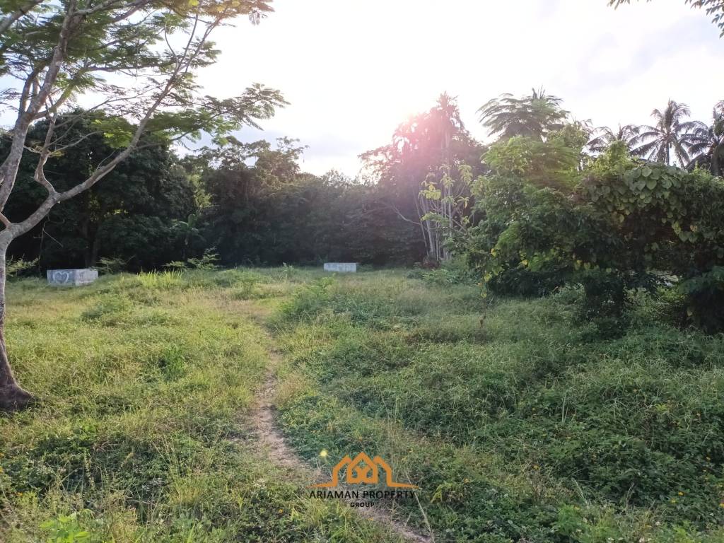 2,345.6 SQ.M Prime Land Plot in Lipa Noi