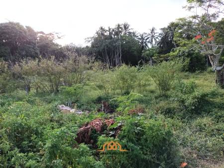 2,345.6 SQ.M Prime Land Plot in Lipa Noi