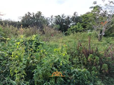 2,345.6 SQ.M Prime Land Plot in Lipa Noi