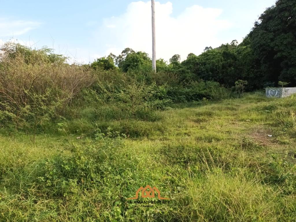 2,345.6 SQ.M Prime Land Plot in Lipa Noi