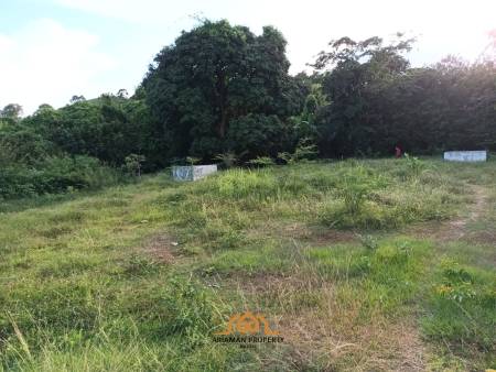 2,345.6 SQ.M Prime Land Plot in Lipa Noi