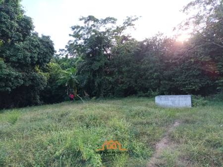 2,345.6 SQ.M Prime Land Plot in Lipa Noi