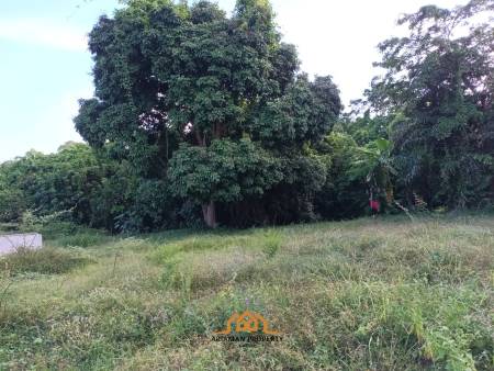 2,345.6 SQ.M Prime Land Plot in Lipa Noi