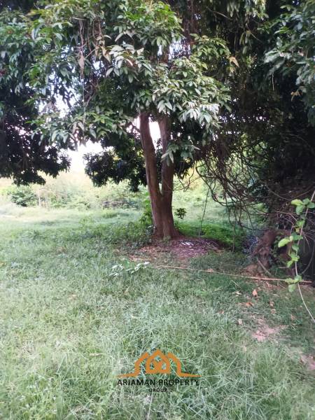 2,345.6 SQ.M Prime Land Plot in Lipa Noi