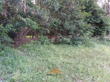 2,345.6 SQ.M Prime Land Plot in Lipa Noi