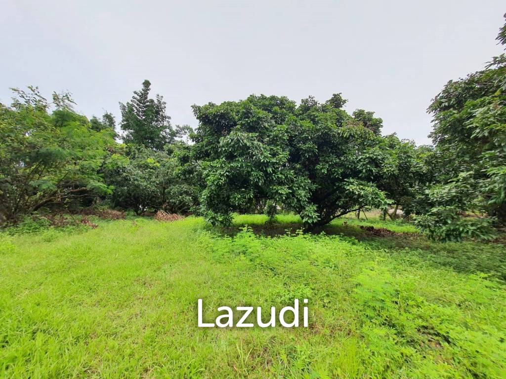 2 Rai Beautiful Land for Sale Near to MFU