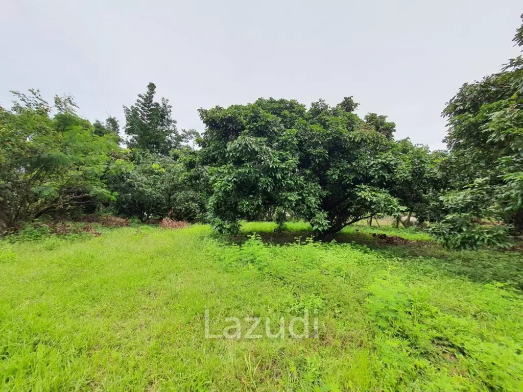 2 Rai Beautiful Land for Sale Near to MFU