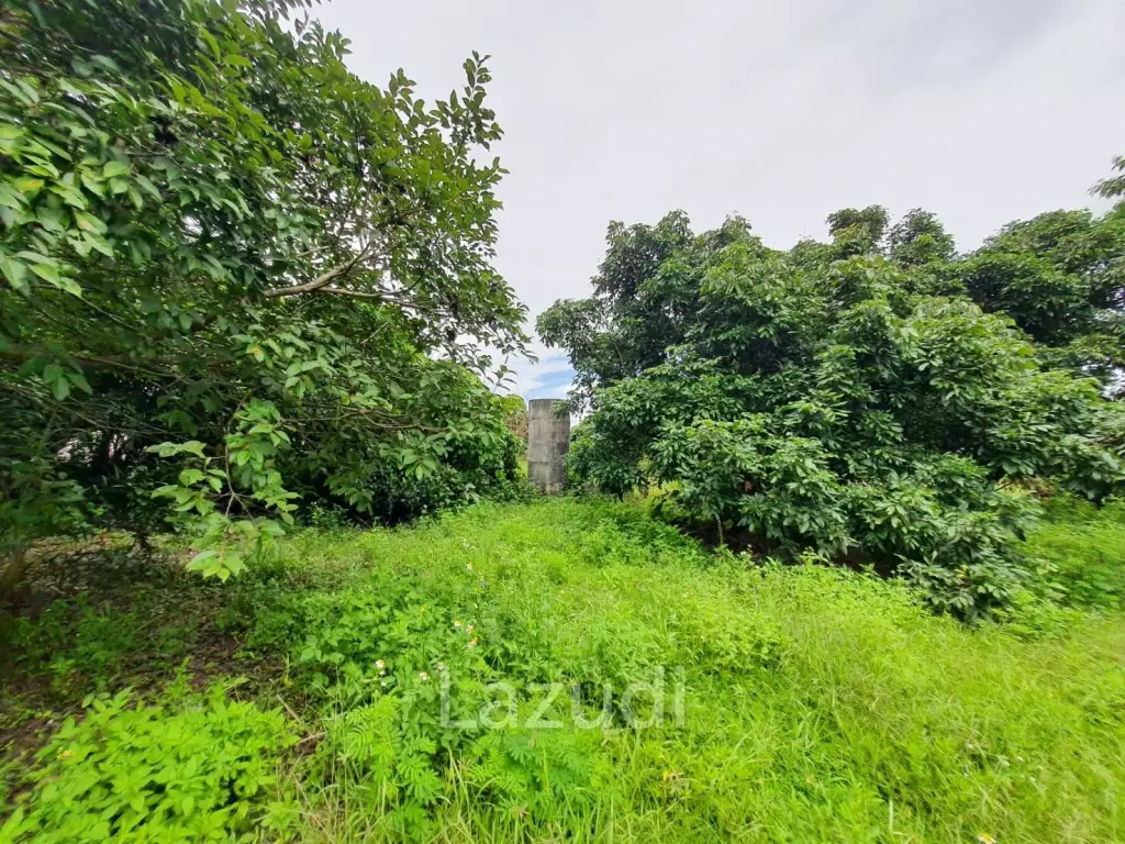 2 Rai Beautiful Land for Sale Near to MFU