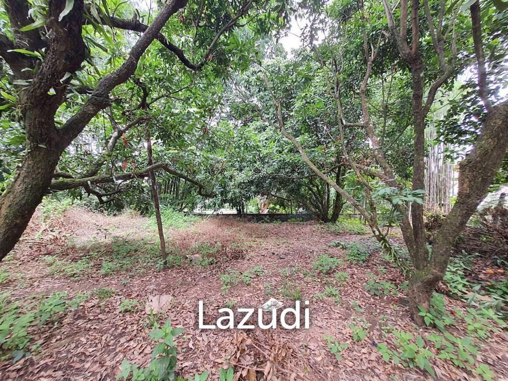 2 Rai Beautiful Land for Sale Near to MFU