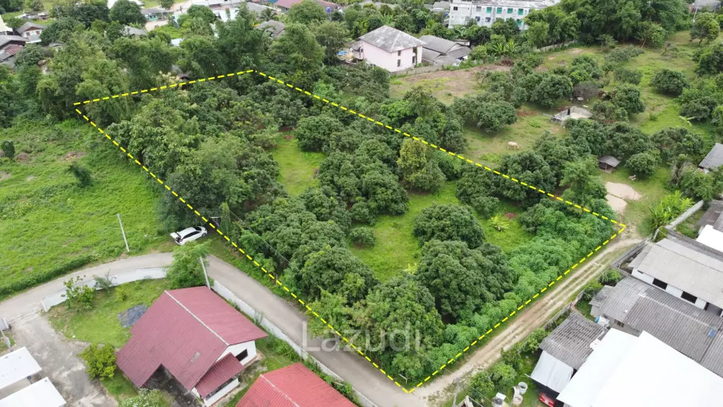 2 Rai Beautiful Land for Sale Near to MFU