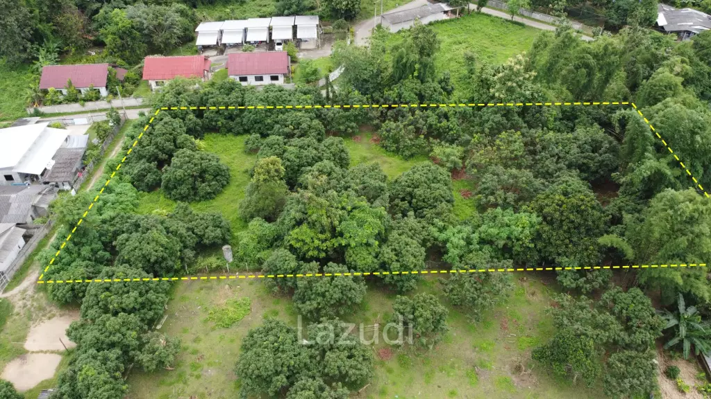 2 Rai Beautiful Land for Sale Near to MFU