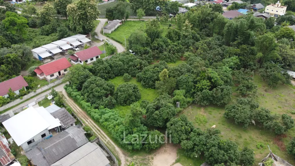 2 Rai Beautiful Land for Sale Near to MFU