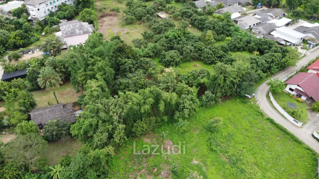 2 Rai Beautiful Land for Sale Near to MFU