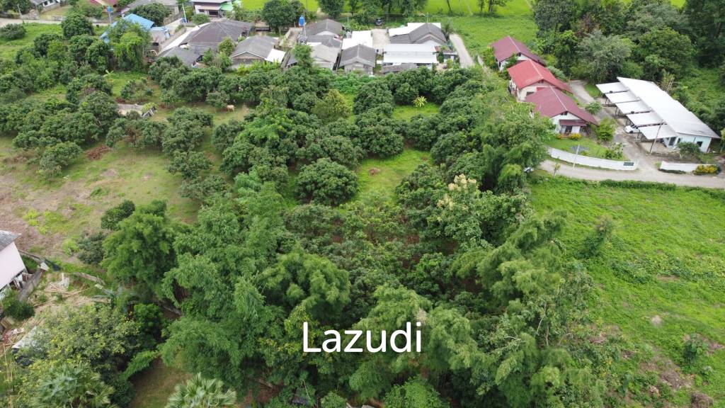 2 Rai Beautiful Land for Sale Near to MFU