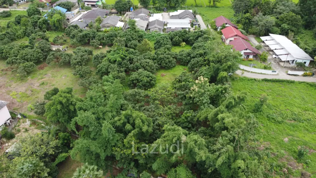 2 Rai Beautiful Land for Sale Near to MFU