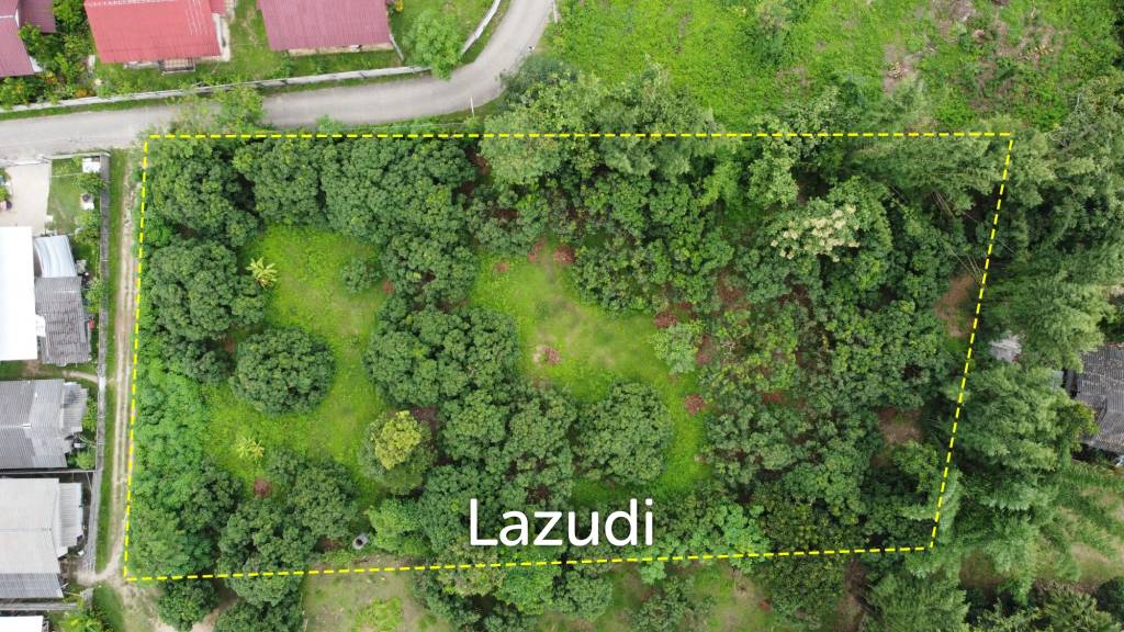 2 Rai Beautiful Land for Sale Near to MFU
