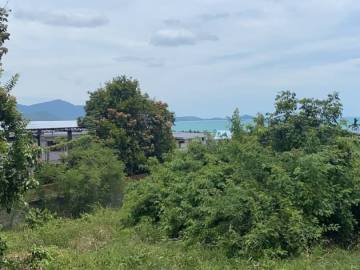 Beautiful Sea View Land Plai leam soi 4