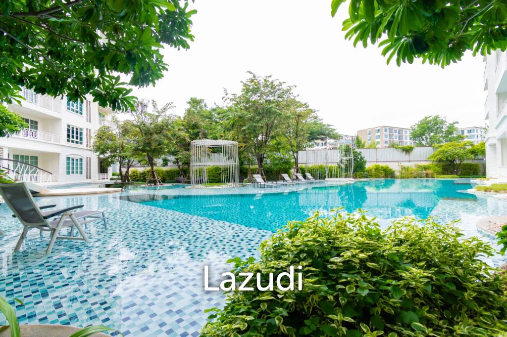 65 Sqm 2 Bed 2 Bath Condominium For Sale & Rent
