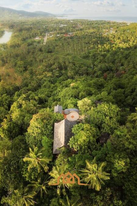 Your Jungle Retreat, Tropical 2-bed Villa