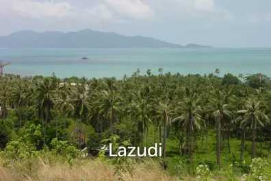 Prime for Development! Green Zone Land Plot in Bophut