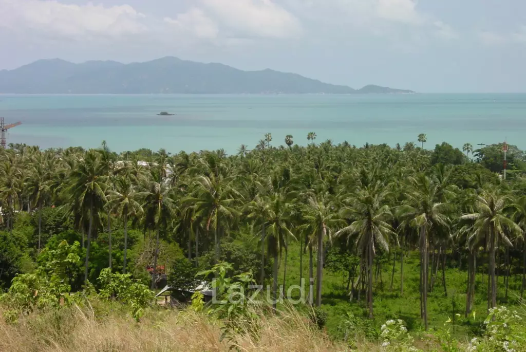 Prime for Development! Green Zone Land Plot in Bophut
