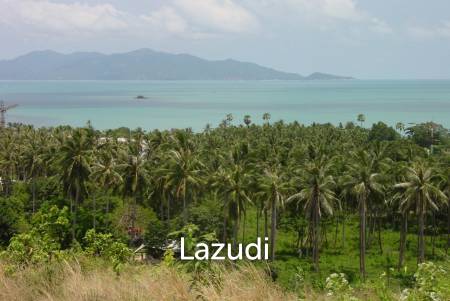 1 Rai Sea View Plot Between Bophut and Mae Nam