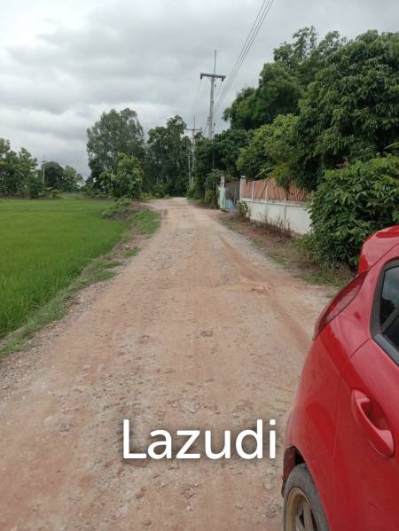 7 Rai Land For Sale With Beautiful Rice Field View