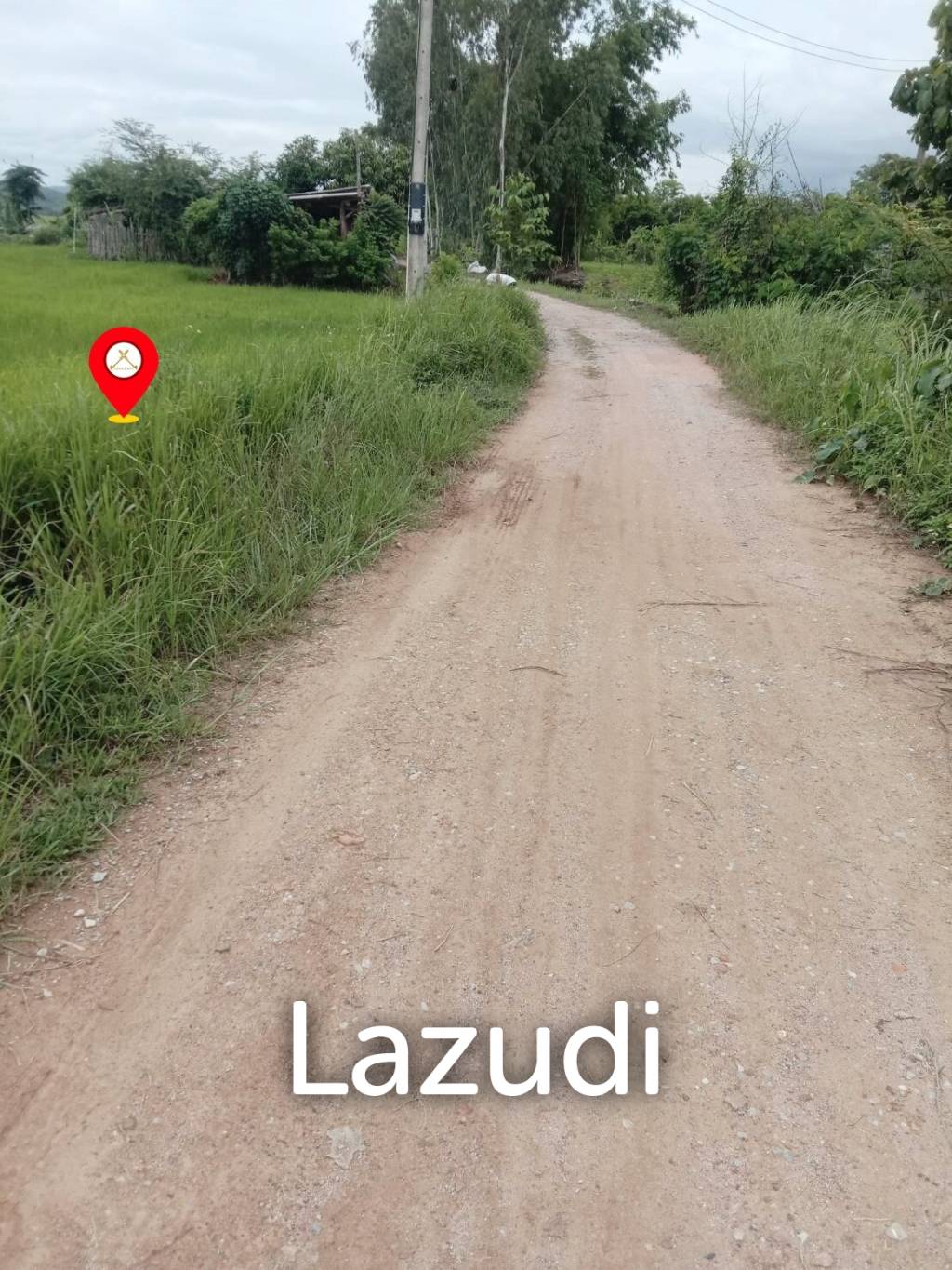 7 Rai Land For Sale With Beautiful Rice Field View