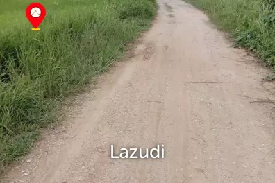 7 Rai Land For Sale With Beautiful Rice Field View