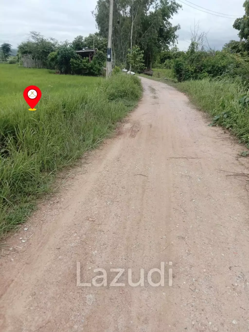 7 Rai Land For Sale With Beautiful Rice Field View