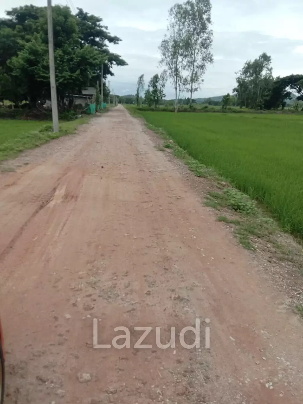 7 Rai Land For Sale With Beautiful Rice Field View