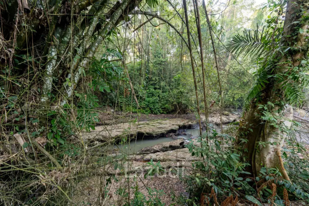 One hectare River front estate in Kediri Tabanan