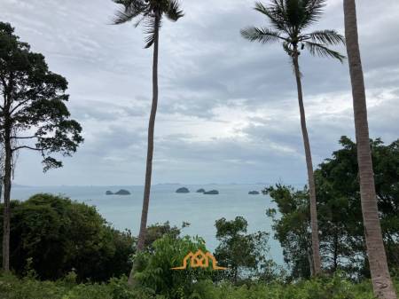 Large plot of Sea View land for sale Thong Khrut