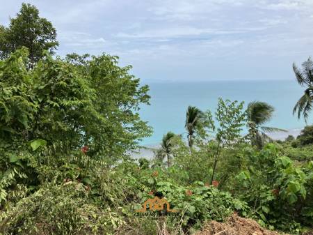 Large plot of Sea View land for sale Thong Khrut