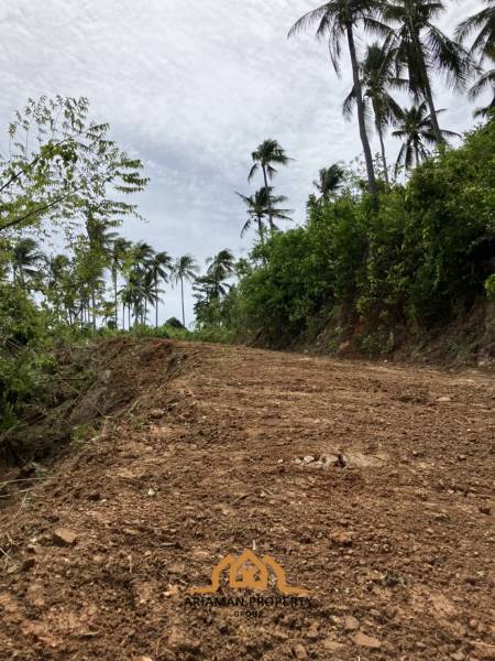 Large plot of Sea View land for sale Thong Khrut