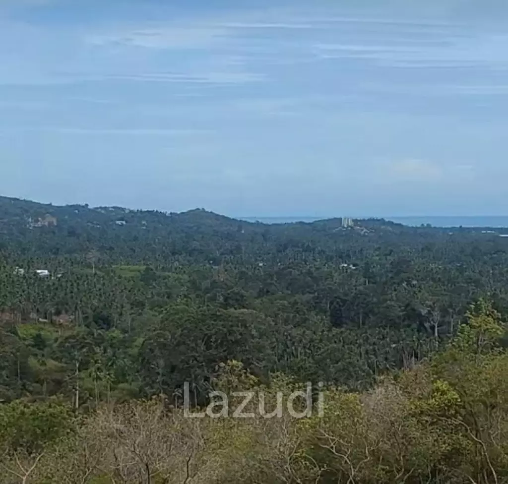 SEA VIEW PLOTS IN MAENAM KOH SAMUI