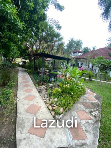 Sunset Bliss Retreat: A Premier Holiday Destination in Koh Samui