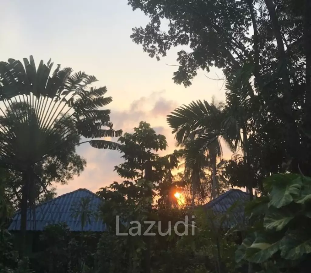 Oasis Resort : Your Investment Dream Come True