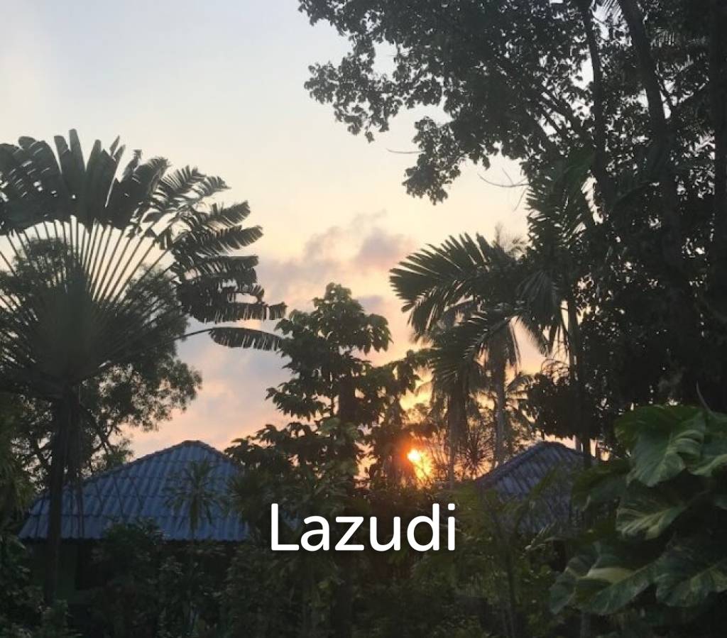 Oasis Resort : Your Investment Dream Come True