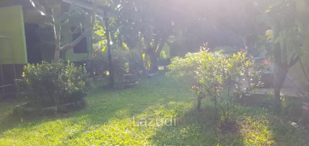 Oasis Resort : Your Investment Dream Come True